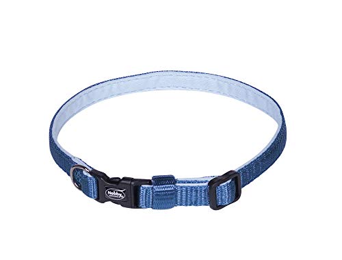 Nobby Halsband Classic Preno Mini, hell blau, L: 13-20 cm, B: 10 mm, 1 Stück von Nobby