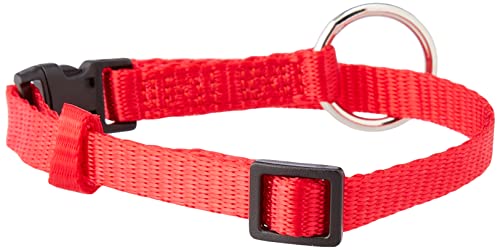 Nobby Halsband Classic, rot L: 20-35 cm, B: 10 mm, 1 Stück Nobby Halsband Classic, rot L: 20-35 cm, B: 10 mm, 1 Stück von Nobby