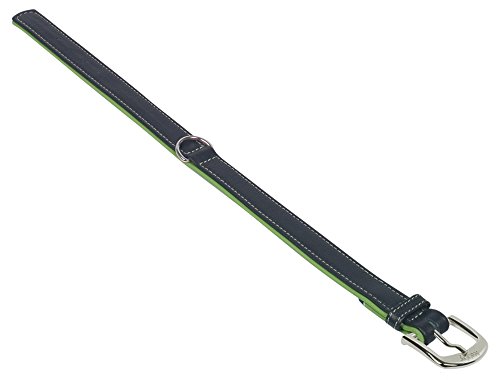 Nobby Halsband PACIFIC, grün 37 cm (30-35 cm), 17/19 mm, 1 Stück von Nobby