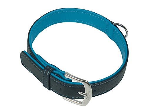 Nobby Halsband PACIFIC, türkis 42 cm (33-39 cm), 19/21 mm, 1 Stück von Nobby