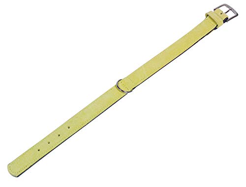 Nobby Halsband VELOURS, grün (Celery), 42 cm (33-39 cm), 19/21 mm, 1 Stück von Nobby