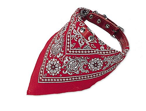 Nobby Halsband mit Tuch, rot L: 65 cm, 1 Stück von Nobby