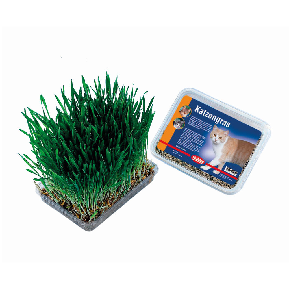 Nobby Katzengras - 100 g Nobby Katzengras - 100 g von Nobby