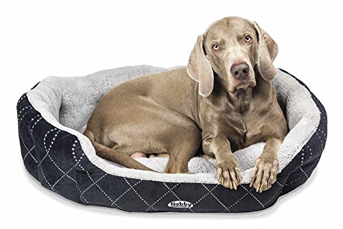 Nobby Komfort Bett oval "CENO" schwarz / grau L x B x H: 65 x 57 x 22 cm Nobby Komfort Bett oval "CENO" schwarz / grau L x B x H: 65 x 57 x 22 cm von Nobby