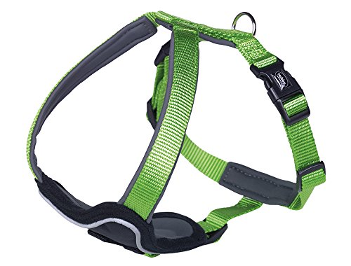 Nobby Komfort Geschirr Classic Preno, grün/grün L: 35-45 cm, B: 25 mm, 1 Stück Nobby Komfort Geschirr Classic Preno, grün/grün L: 35-45 cm, B: 25 mm, 1 Stück von Nobby