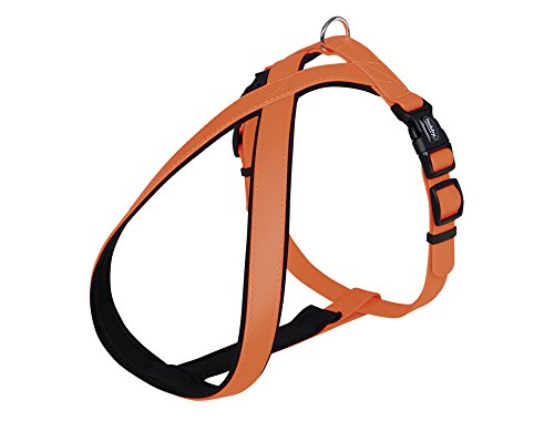Nobby Komfort Geschirr Cover, neon orange Bauch: 70-100 cm, B: 25/35 mm, 1 Stück Nobby Komfort Geschirr Cover, neon orange Bauch: 70-100 cm, B: 25/35 mm, 1 Stück von Nobby