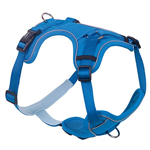 Nobby Komfort Geschirr MAILO, hellblau, S-M: Brust: 30-45 cm, Bauch: 50-62 cm, B: 20 mm, 1 Stück Nobby Komfort Geschirr MAILO, hellblau, S-M: Brust: 30-45 cm, Bauch: 50-62 cm, B: 20 mm, 1 Stück von Nobby