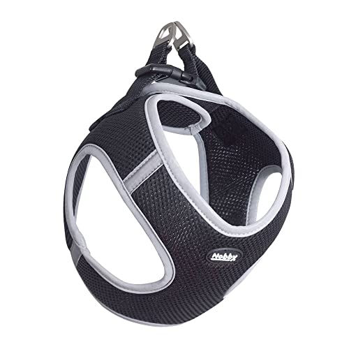 Nobby Mesh Geschirr Delight, schwarz, S: Brust: 35-40 cm, Bauch: 40-45 cm, 15 mm, 1 Stück Nobby Mesh Geschirr Delight, schwarz, S: Brust: 35-40 cm, Bauch: 40-45 cm, 15 mm, 1 Stück von Nobby