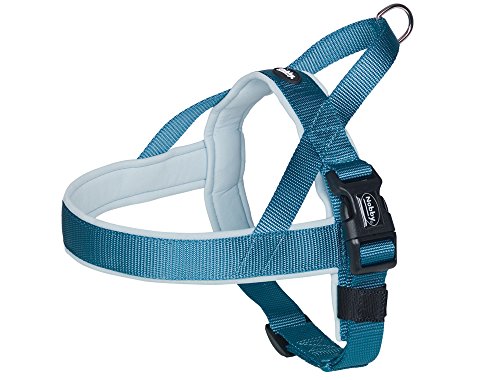 Nobby Norwegergeschirr Classic Preno, hellblau / hellblau L: 38-50 cm + 36 cm, B: 20/25 mm, 1 Stück Nobby Norwegergeschirr Classic Preno, hellblau / hellblau L: 38-50 cm + 36 cm, B: 20/25 mm, 1 Stück von Nobby