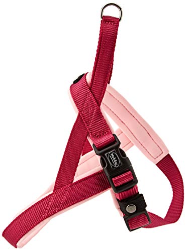 Nobby Norwegergeschirr Classic Preno, himbeere / pink L: 38-50 cm + 36 cm, B: 20/25 mm, 1 Stück Nobby Norwegergeschirr Classic Preno, himbeere / pink L: 38-50 cm + 36 cm, B: 20/25 mm, 1 Stück von Nobby