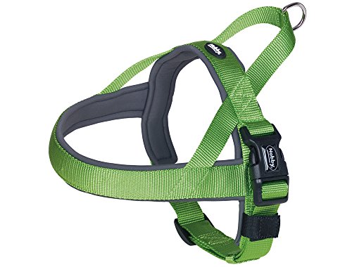 Nobby Norwegergeschirr Classic Preno, neon grün / grau L: 38-50 cm + 36 cm, B: 20/25 mm, 1 Stück Nobby Norwegergeschirr Classic Preno, neon grün / grau L: 38-50 cm + 36 cm, B: 20/25 mm, 1 Stück von Nobby