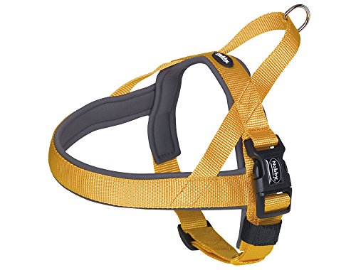 Nobby Norwegergeschirr Classic Preno, orange / grau L: 68-85 cm + 54 cm, B: 40/45 mm, 1 Stück Nobby Norwegergeschirr Classic Preno, orange / grau L: 68-85 cm + 54 cm, B: 40/45 mm, 1 Stück von Nobby