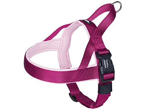 Nobby Norwegergeschirr Classic Preno, himbeere / pink L: 75-98 cm + 62 cm, B: 40/45 mm, 1 Stück Nobby Norwegergeschirr Classic Preno, himbeere / pink L: 75-98 cm + 62 cm, B: 40/45 mm, 1 Stück von Nobby