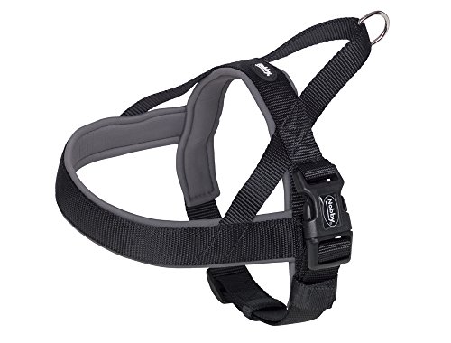 Nobby Norwegergeschirr Classic Preno, schwarz / grau L: 75-98 cm + 62 cm, B: 40/45 mm, 1 Stück Nobby Norwegergeschirr Classic Preno, schwarz / grau L: 75-98 cm + 62 cm, B: 40/45 mm, 1 Stück von Nobby