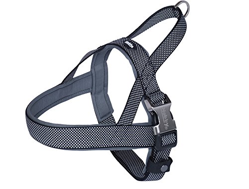 Nobby Norwegergeschirr Classic Preno Royal, schwarz L: 50-64 cm + 42 cm, B: 25/35 mm, 1 Stück Nobby Norwegergeschirr Classic Preno Royal, schwarz L: 50-64 cm + 42 cm, B: 25/35 mm, 1 Stück von Nobby