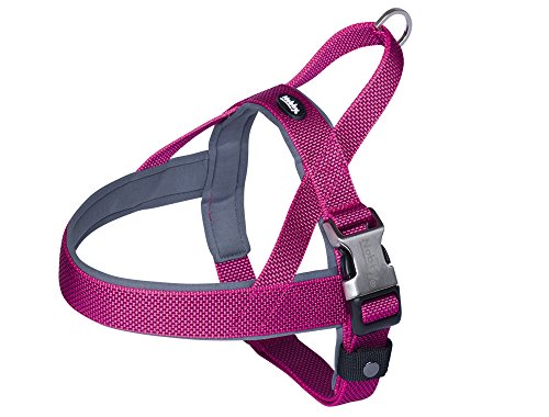 Nobby Norwegergeschirr Classic Preno Royal, himbeere L: 50-64 cm + 42 cm, B: 25/35 mm, 1 Stück Nobby Norwegergeschirr Classic Preno Royal, himbeere L: 50-64 cm + 42 cm, B: 25/35 mm, 1 Stück von Nobby