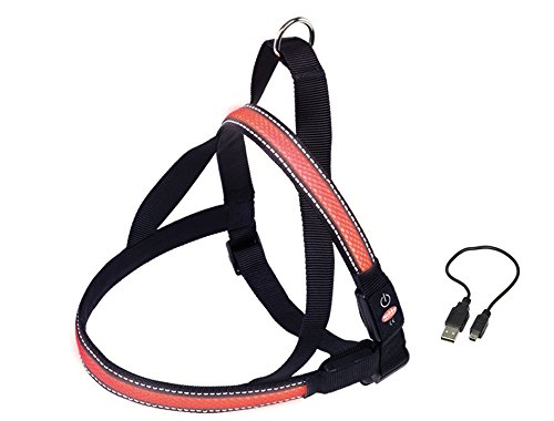 Nobby Norwegergeschirr FLASH MESH, rot L: L: 70-85 cm + 52, B: 30 mm, 1 Stück Nobby Norwegergeschirr FLASH MESH, rot L: L: 70-85 cm + 52, B: 30 mm, 1 Stück von Nobby