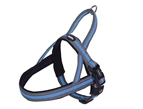 Nobby Norwegergeschirr Variado, hellblau B: 25/35mm, L: 46cm + 60-76 cm, 1 Stück Nobby Norwegergeschirr Variado, hellblau B: 25/35mm, L: 46cm + 60-76 cm, 1 Stück von Nobby