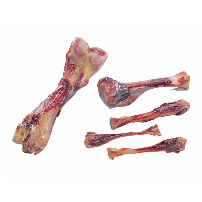 Nobby Parmaknochen - 24 cm von Nobby