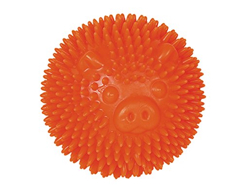 Nobby TPR Noppen Ball Pig, orange 8 cm, 1 Stück von Nobby