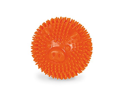 Nobby TPR Noppen Ball Pig, orange 6,5 cm, 1 Stück von Nobby