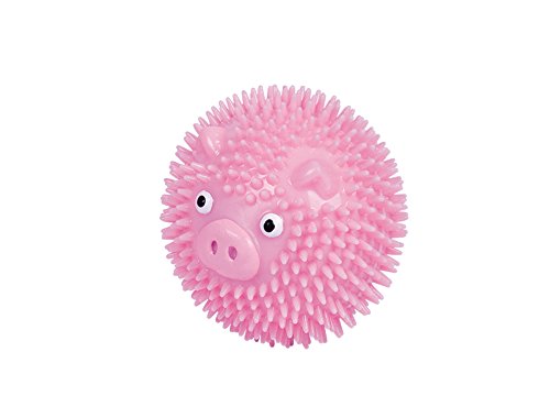 Nobby TPR Noppen Ball Pig, pink 6,5 cm, 1 Stück von Nobby