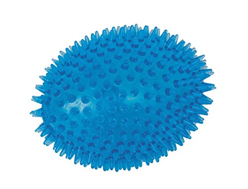 Nobby TPR Noppen Football, blau 11 cm, 1 Stück Nobby TPR Noppen Football, blau 11 cm, 1 Stück von Nobby