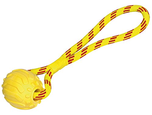 Nobby TPR Schaumball mit Seil, 37 cm, 1 Stück von Nobby