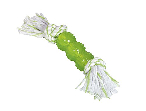 Nobby TPR Stick mit Seil, 26cm, 1 Stück Nobby TPR Stick mit Seil, 26cm, 1 Stück von Nobby