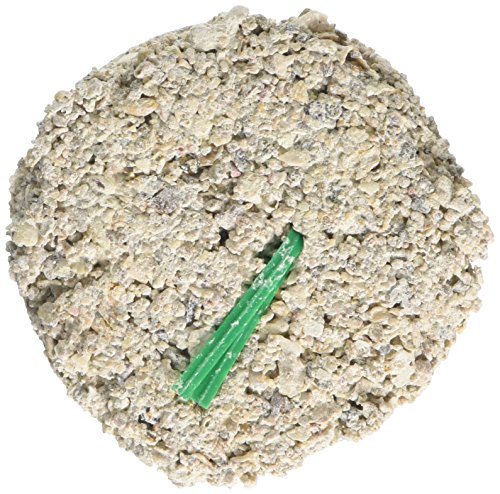 Nobby Vogel Mineralblöcke, mittel grob Nobby Vogel Mineralblöcke, mittel grob von Nobby