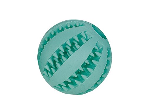 Nobby Vollgummi Ball "DENTAL FUN" 7 cm Nobby Vollgummi Ball "DENTAL FUN" 7 cm von Nobby