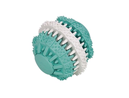 Nobby Vollgummi Ball "DENTAL FUN" zweifarbig 6 cm Nobby Vollgummi Ball "DENTAL FUN" zweifarbig 6 cm von Nobby