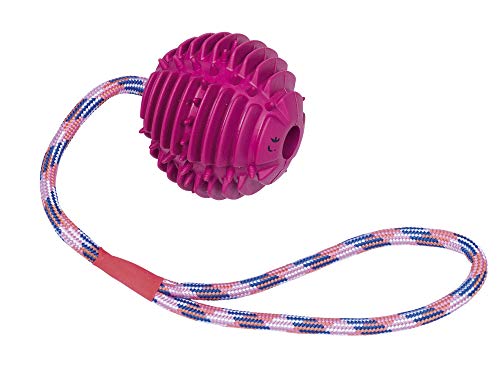 Nobby Vollgummi Ball mit Seil Ball: 7,5 cm; Seil: 30 cm Nobby Vollgummi Ball mit Seil Ball: 7,5 cm; Seil: 30 cm von Nobby