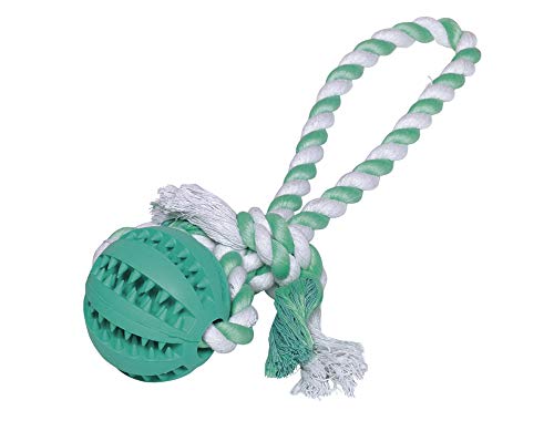 Nobby Vollgummi Ball mit Seil DENTAL LINE Ball: Ø 7 cm; Ball mit Seil: 30 cm von Nobby