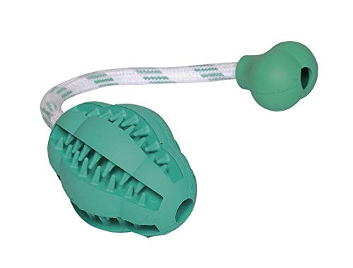 Nobby Vollgummi Jumper DENTAL LINE mit Seil Spielzeug: 8 cm, Spielzeug mit Seil: 27 cm Nobby Vollgummi Jumper DENTAL LINE mit Seil Spielzeug: 8 cm, Spielzeug mit Seil: 27 cm von Nobby