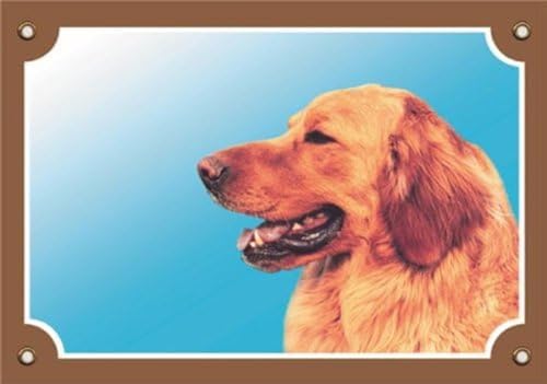 Nobby Warntafel Golden Retriever gelb 12 x 3,5 cm von Nobby
