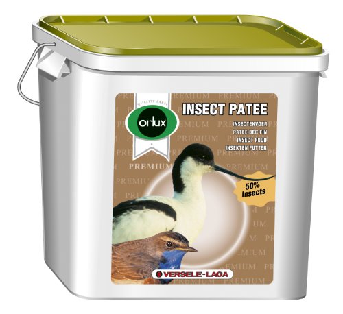 Orlux Insekt Patee Premium 10 kg von Orlux