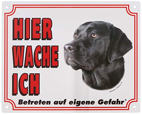 Warntafel Labrador dunkel gelb 12 x 3,5 cm Warntafel Labrador dunkel gelb 12 x 3,5 cm von Nobby