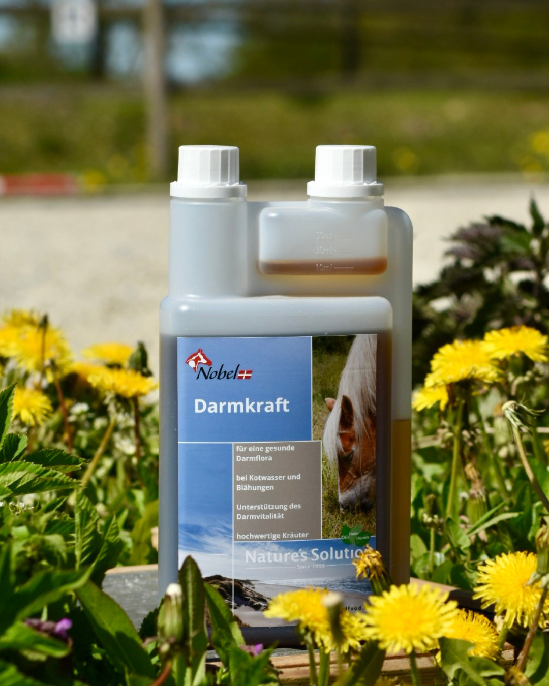 Nobel Darmkraft 1L Für die gesunde Verdauung von Nobelfood