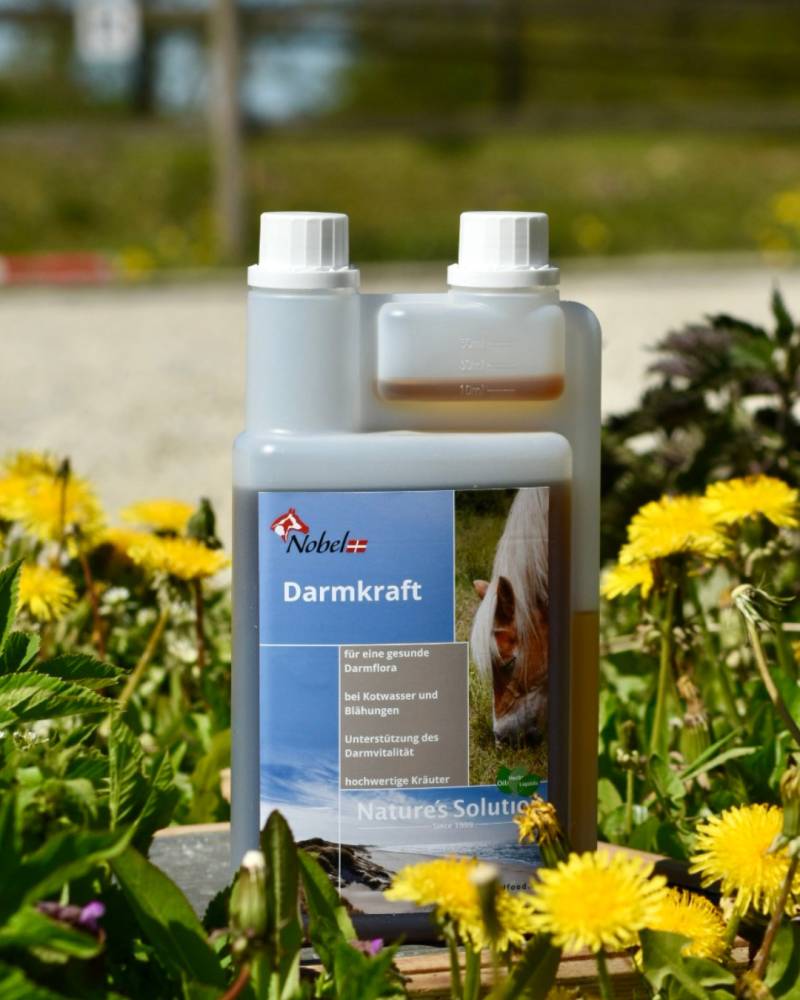 Nobel Darmkraft 1L Für die gesunde Verdauung Nobel Darmkraft 1L Für die gesunde Verdauung von Nobelfood