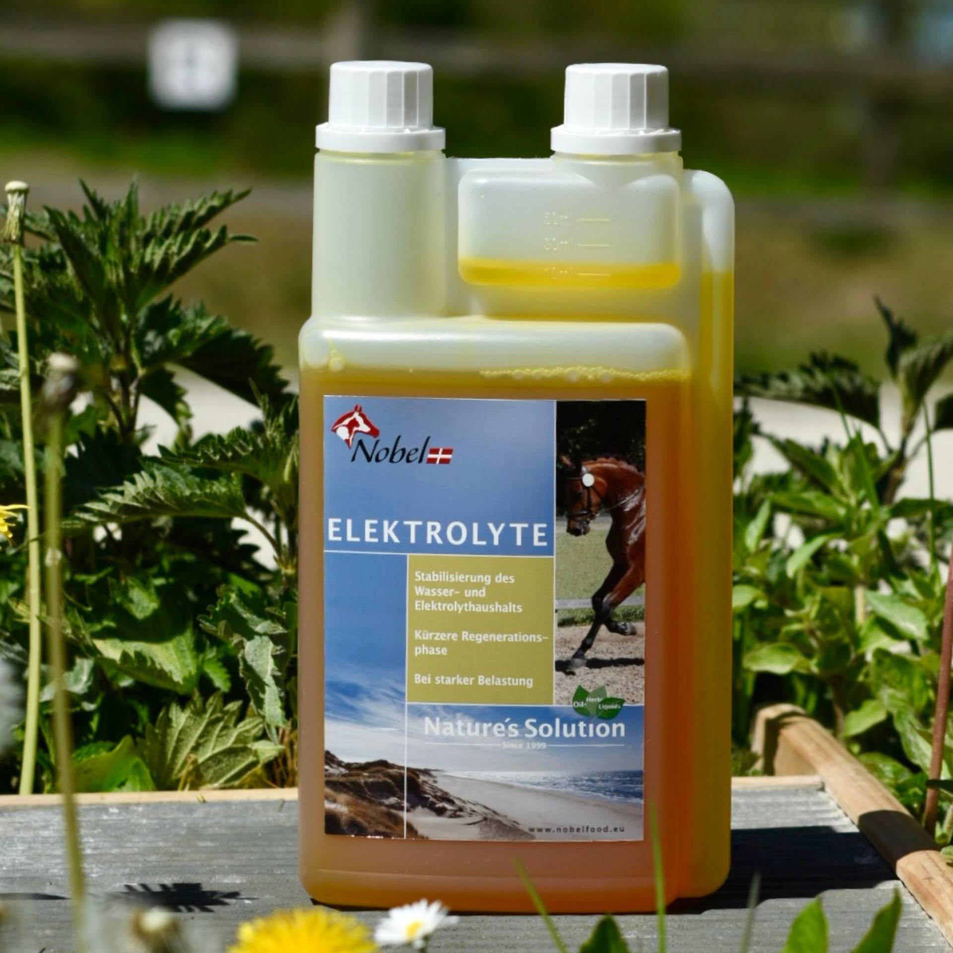 Nobel Elektrolyt Liquid 1L Ergänzung von Elektrolyten Nobel Elektrolyt Liquid 1L Ergänzung von Elektrolyten von Nobelfood