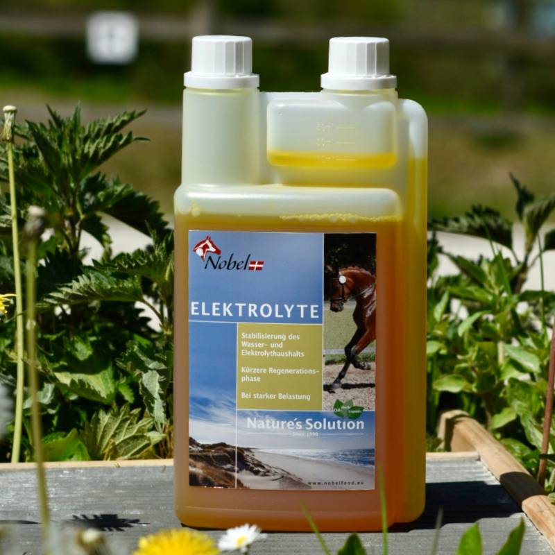 Nobel Elektrolyt Liquid 1L Ergänzung von Elektrolyten Nobel Elektrolyt Liquid 1L Ergänzung von Elektrolyten von Nobelfood