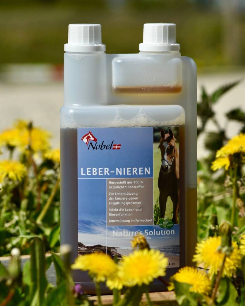 Nobel Leber-Nieren Liquid 1L Pflanzliche Unterstützung zur Entgiftung Nobel Leber-Nieren Liquid 1L Pflanzliche Unterstützung zur Entgiftung von Nobelfood