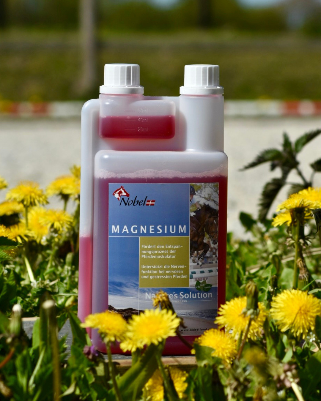 Nobel Magnesium Liquid 1L Für Balance und Entspannung von Nobelfood