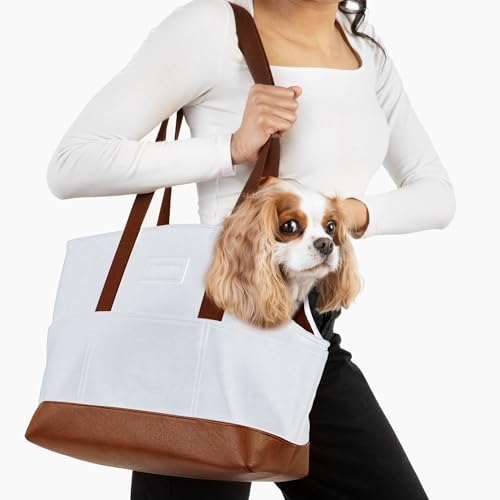 NoblePup Luxuriöse Hundetasche – weiße Kunstleder-Tragetasche, sicherer Geschirr-Clip, Tragetasche für kleine Hunde und Welpen NoblePup Luxuriöse Hundetasche – weiße Kunstleder-Tragetasche, sicherer Geschirr-Clip, Tragetasche für kleine Hunde und Welpen von NoblePup