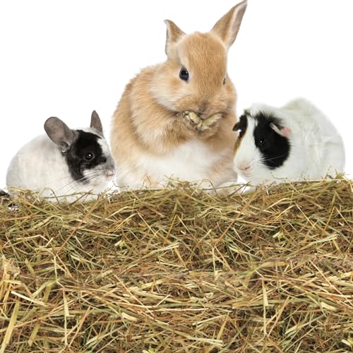 Nobleza - (10 * 1kg Kaninchen Wiesenhe, Hauptfutter für Hasen mit Gemüse, Natürliches Nagerfutterlebenswichtigen, Futter für Meerschweinchen, Vitaminen und Mineralien von Nobleza