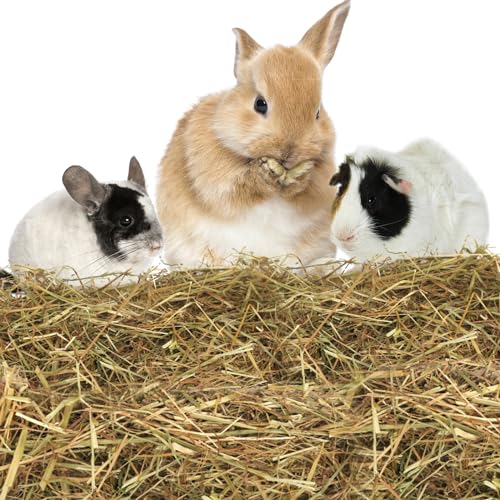 Nobleza - (3 * 2.5kg Kaninchen Wiesenhe, Hauptfutter für Hasen mit Gemüse, Natürliches Nagerfutterlebenswichtigen, Futter für Meerschweinchen, Vitaminen und Mineralien von Nobleza