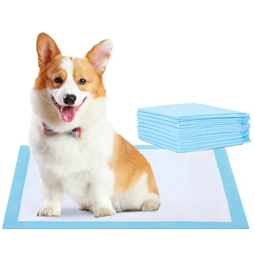 Nobleza 10Pz Welpen Unterlagen Ultra Saugfähige Hunde Trainingsunterlagen Welpenunterlage Welpen Toilettenmatte, 60x40cm Nobleza 10Pz Welpen Unterlagen Ultra Saugfähige Hunde Trainingsunterlagen Welpenunterlage Welpen Toilettenmatte, 60x40cm von Nobleza
