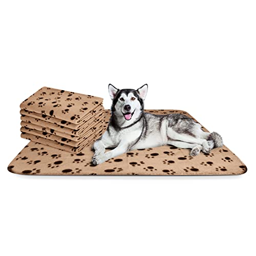 Nobleza - 6 x Hundedecke Weiche Fleecedecke Waschbare Deck für Haustier Hunde Katzen Welpen Weiche Warme Matte, Beige, 160 * 100cm von Nobleza