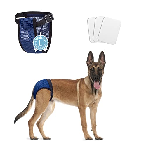 Nobleza Hund Windeln, Waschbar Schutzhose mit 3 Damenbinde, Hundehosen Hündin Läufigkeit, Wiederverwendbare Binde Höschen für Hündinnen, 1 St. Taille 40-49 cm, L Nobleza Hund Windeln, Waschbar Schutzhose mit 3 Damenbinde, Hundehosen Hündin Läufigkeit, Wiederverwendbare Binde Höschen für Hündinnen, 1 St. Taille 40-49 cm, L von Nobleza